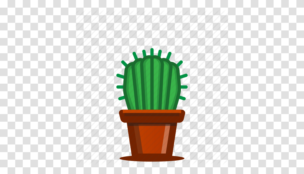 Cacti Cactus Plants Potted Plant Succulent Trees Icon, Chair, Light, Tabletop, Food Transparent Png