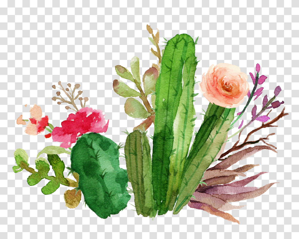 Cacti Cactus Succulent Flower Floral Watercolor Color, Plant, Blossom Transparent Png