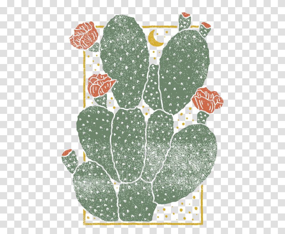 Cactus 01 Cactus Graphic Design, Plant, Bird, Animal Transparent Png