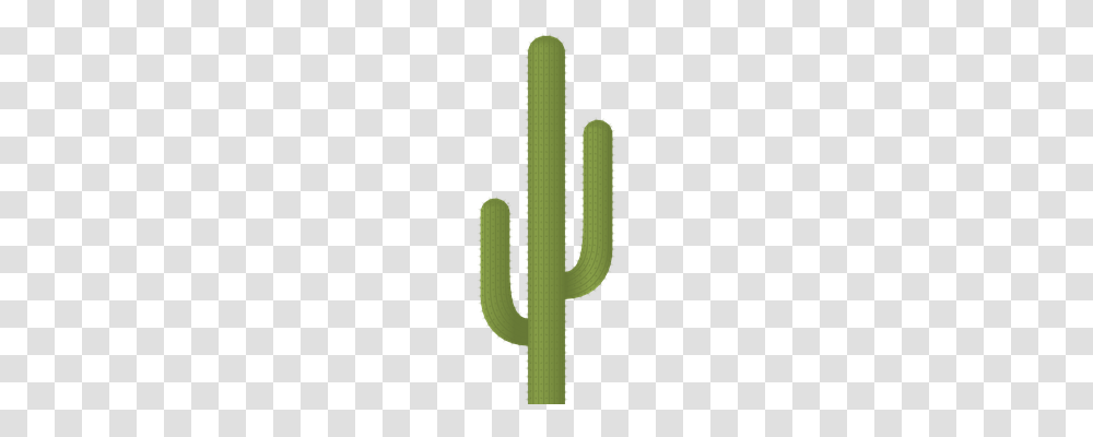 Cactus Nature, Plant Transparent Png