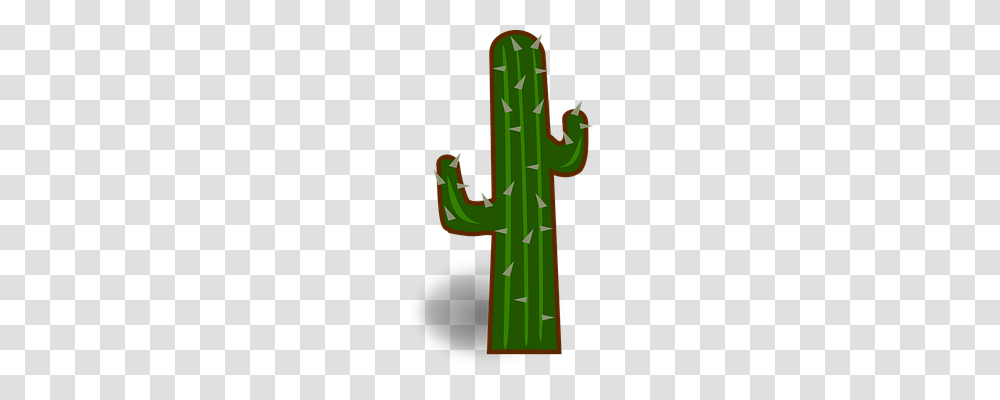 Cactus Plant, Cross Transparent Png