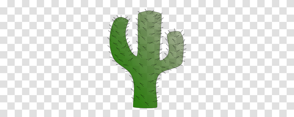 Cactus Nature, Plant, Grass Transparent Png