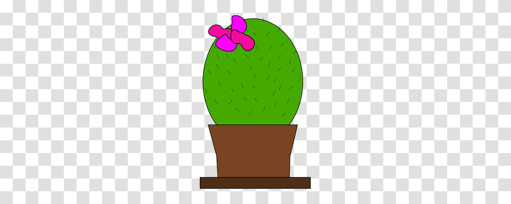 Cactus Nature, Plant, Food, Fruit Transparent Png