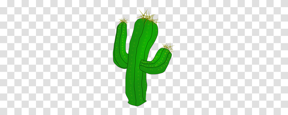 Cactus Nature, Plant Transparent Png