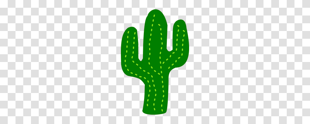 Cactus Nature, Plant Transparent Png