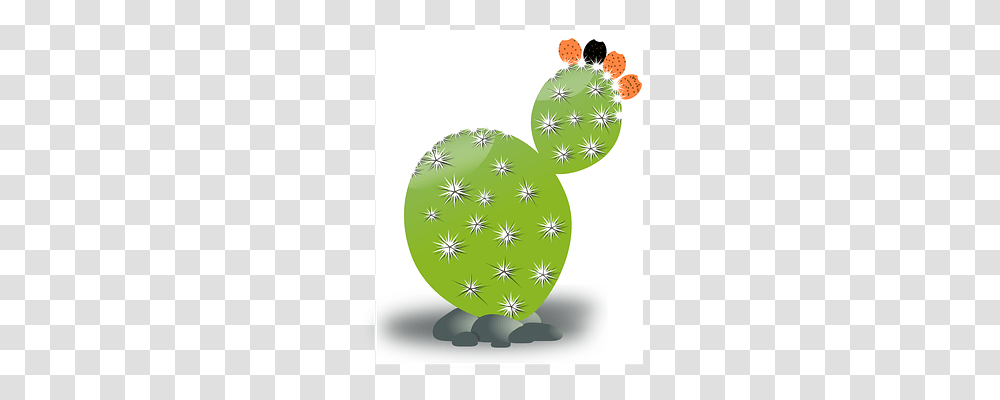 Cactus Nature, Plant, Tree, Grass Transparent Png