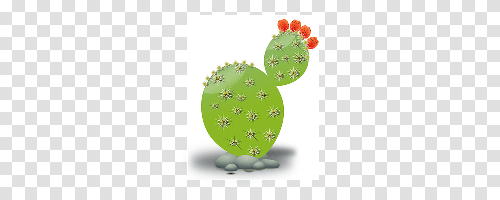 Cactus Nature, Plant Transparent Png