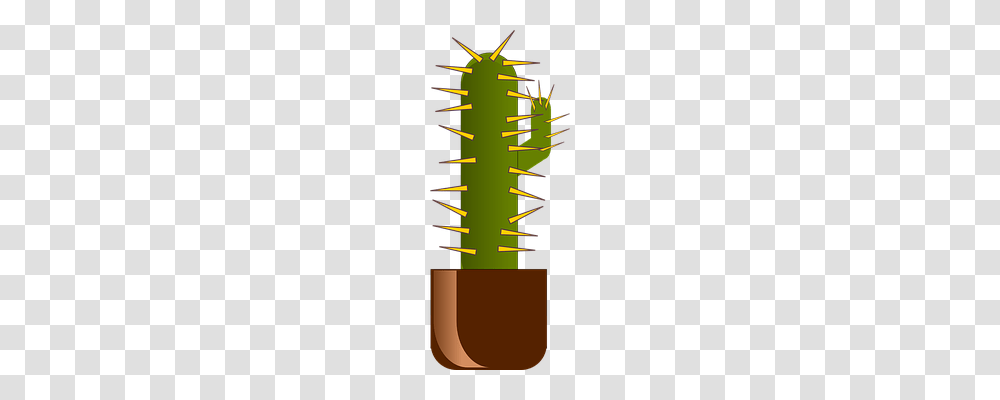 Cactus Nature, Plot, Diagram Transparent Png