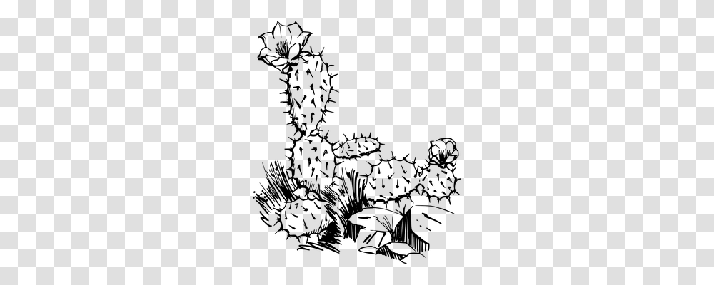 Cactus Nature, Gray, World Of Warcraft Transparent Png