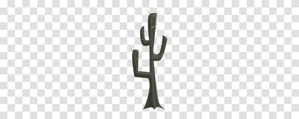 Cactus Nature, Plant Transparent Png