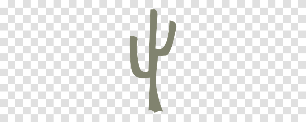 Cactus Nature, Alphabet Transparent Png