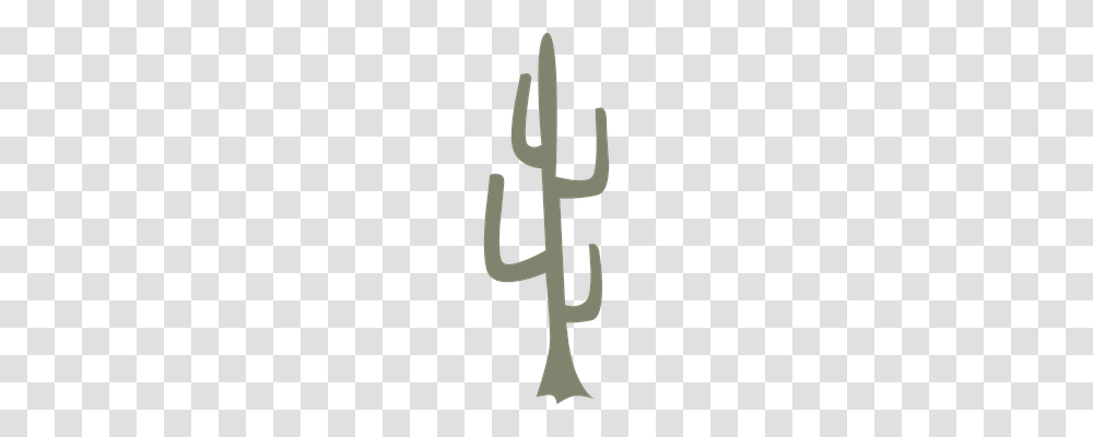Cactus Nature, Alphabet Transparent Png