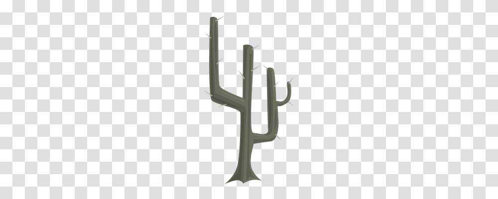 Cactus Nature, Plant, Pillar, Architecture Transparent Png