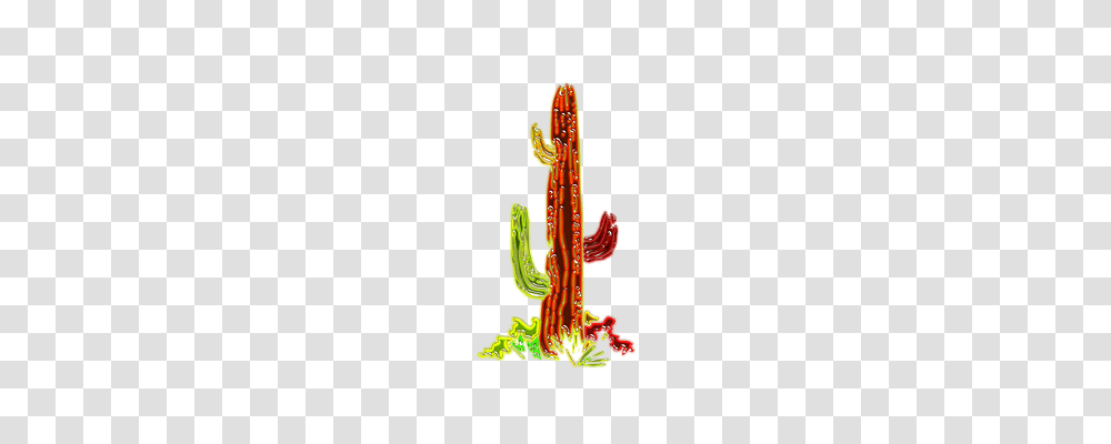 Cactus Nature, Plant Transparent Png