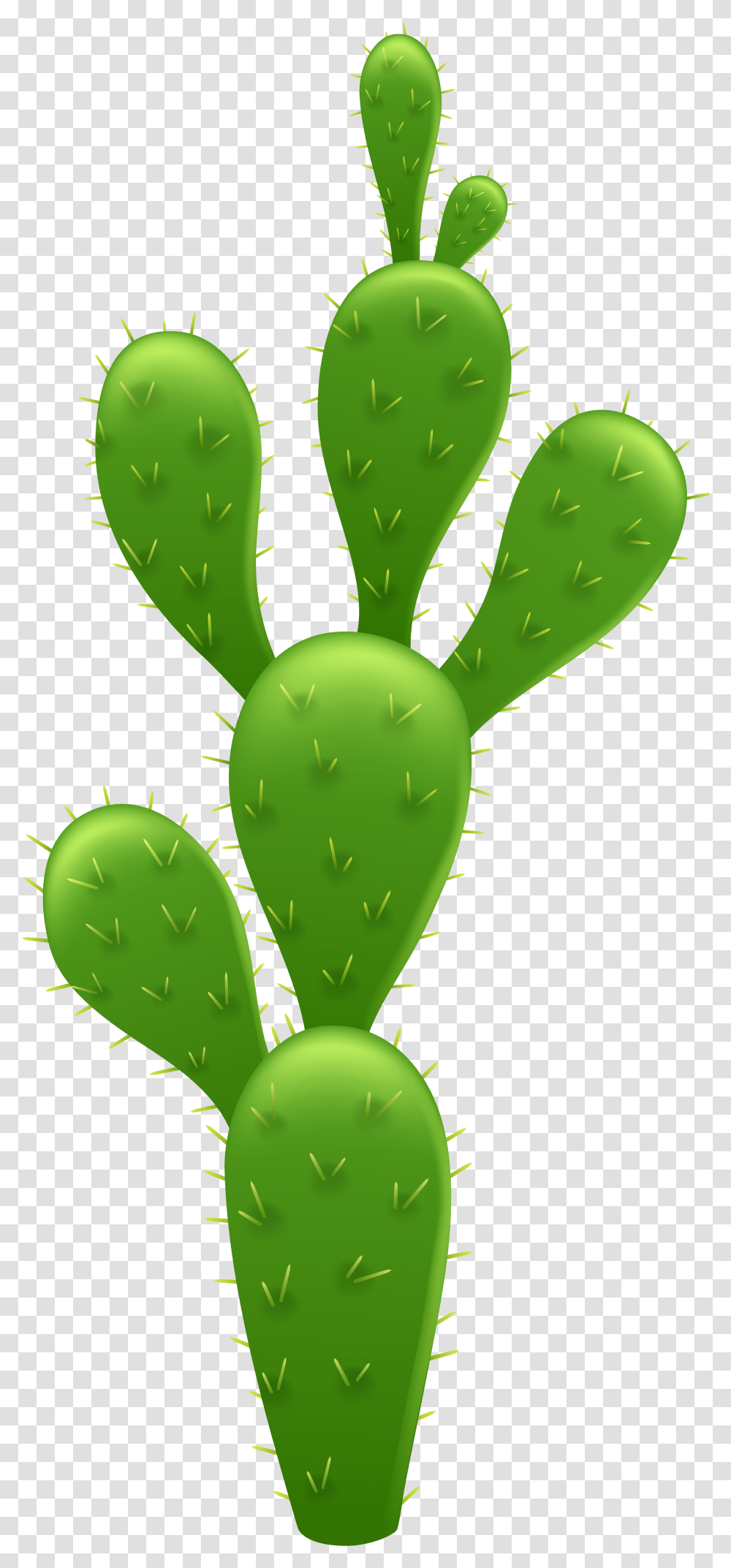 Cactus Background Background Cactus Clipart, Plant, Balloon, Food, Pickle Transparent Png