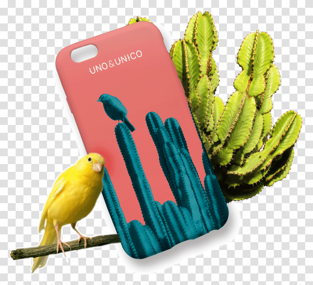 Cactus, Bird, Animal, Canary Transparent Png