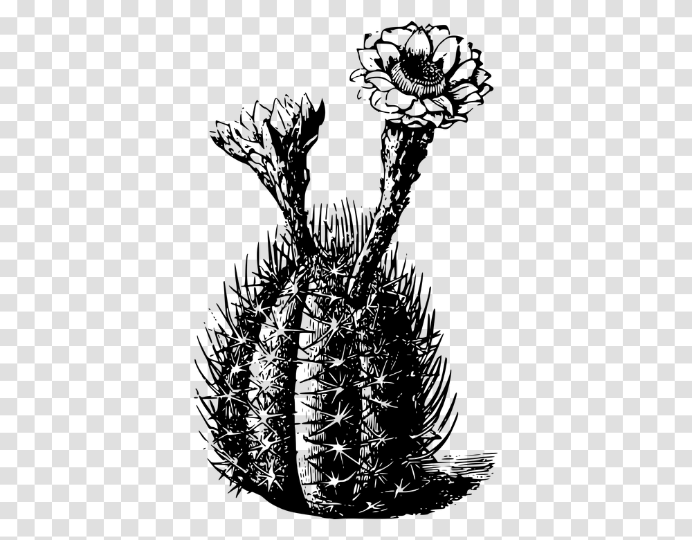 Cactus Black And White, Gray, World Of Warcraft Transparent Png