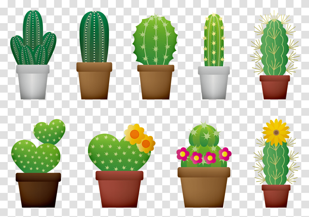 Cactus Cacti Flower Cacti Cactus, Plant, Birthday Cake, Dessert, Food Transparent Png