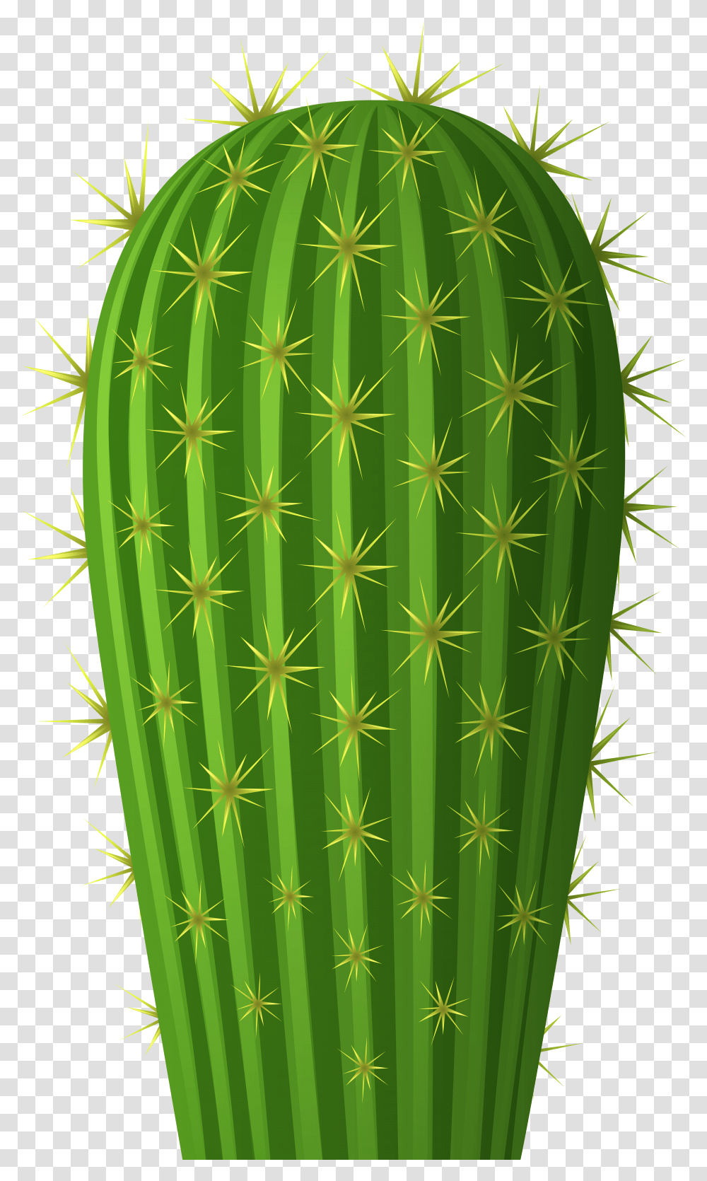 Cactus Christmas Cactus Transparent Png