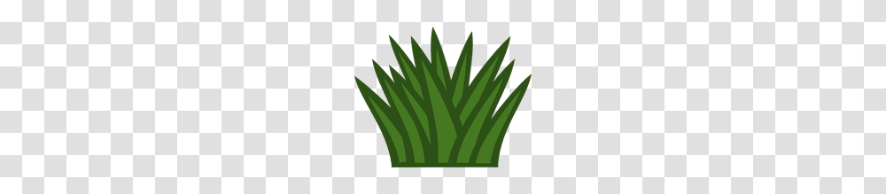 Cactus Clip Art For Web, Plant, Leaf, Grass, Aloe Transparent Png