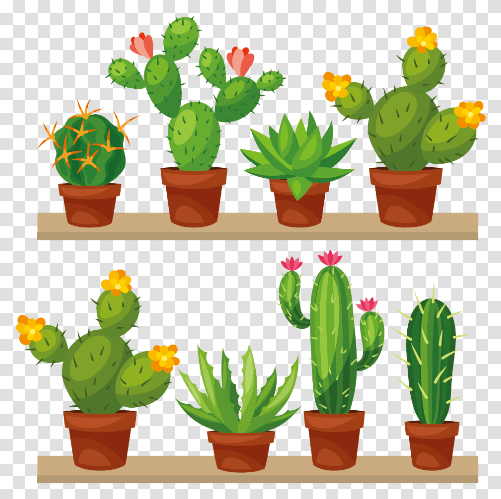 Cactus Clip Art Image Cactus Succulent Clip Art, Plant, Painting Transparent Png