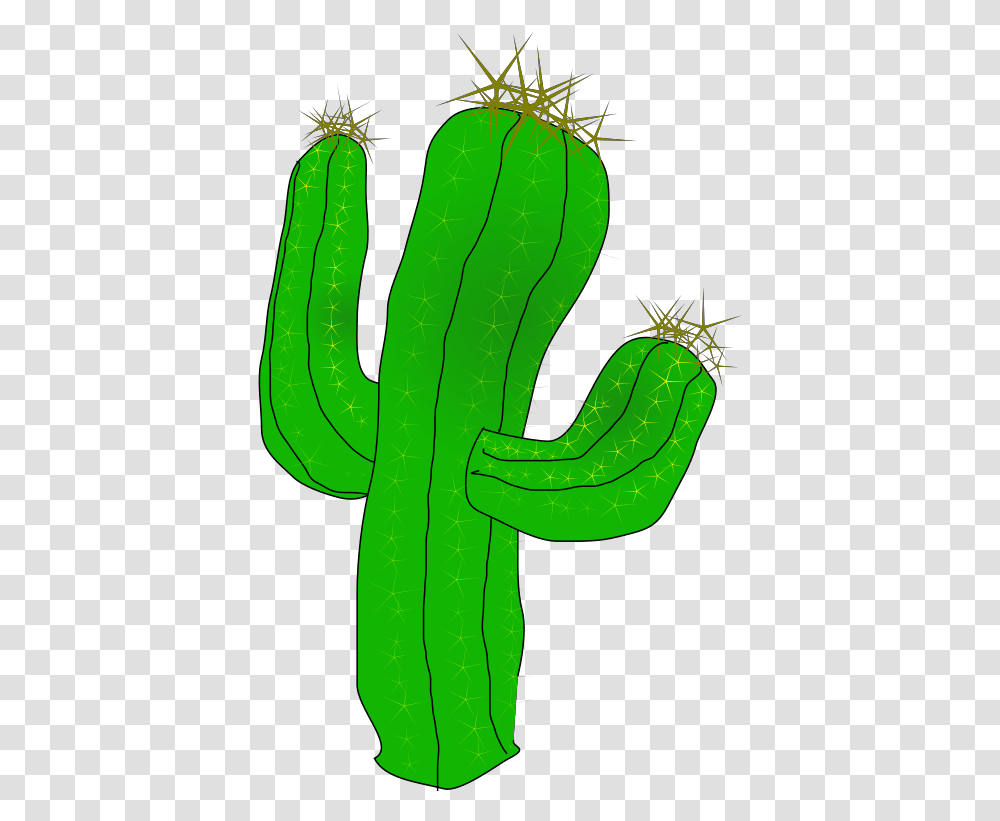 Cactus Clip Art, Plant, Animal, Photography, Green Transparent Png