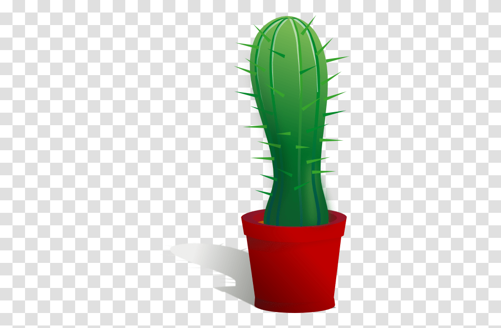 Cactus Clip Art, Plant, Bottle, Vase, Jar Transparent Png