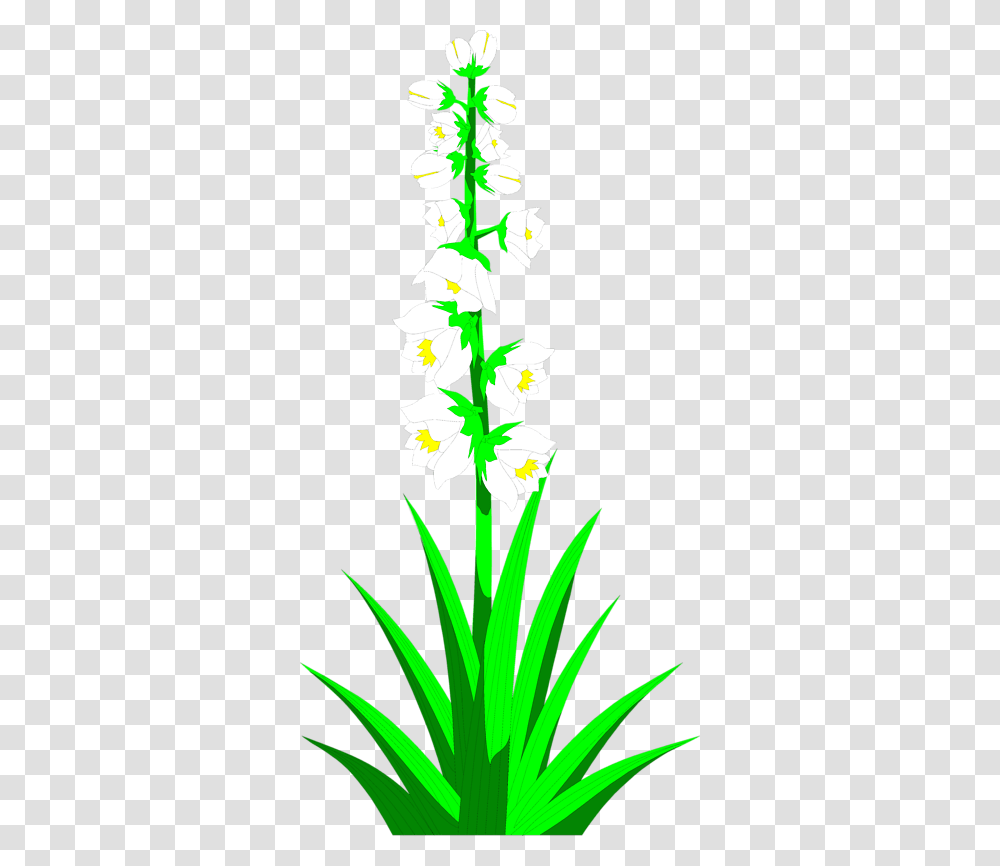 Cactus Clip Art, Plant, Flower, Blossom, Flower Arrangement Transparent Png