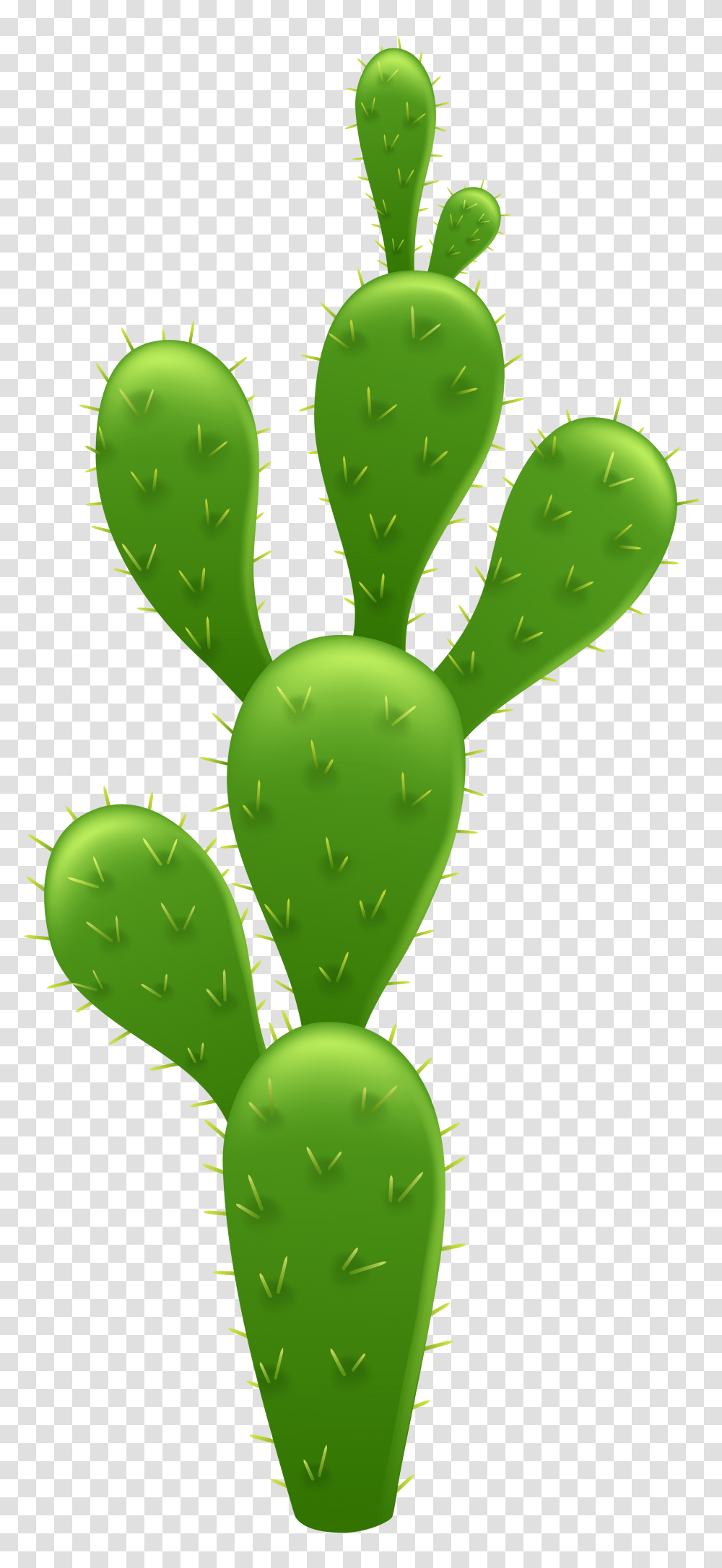 Cactus Clip Art, Plant, Leaf, Food, Green Transparent Png