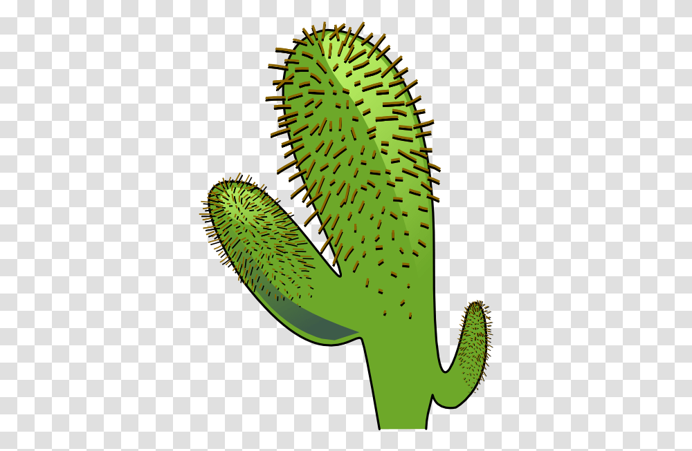 Cactus Clip Art, Plant, Rug, Green Transparent Png