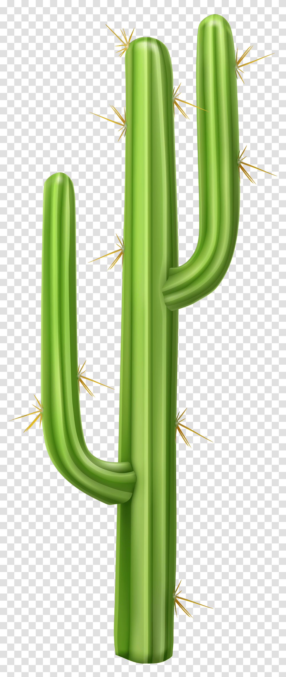 Cactus Clip Art, Plant Transparent Png