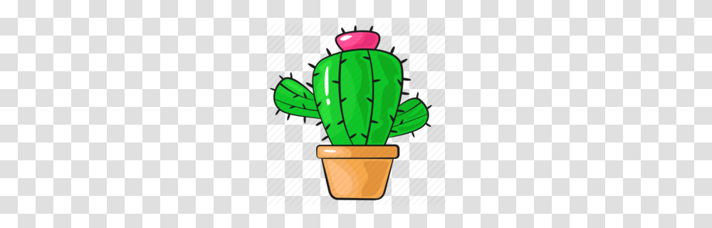 Cactus Clip Art Tumblr Clipart, Plant, Planter, Potted Plant, Vase Transparent Png