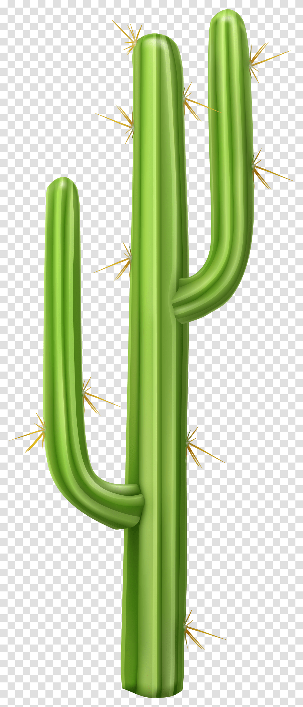 Cactus Clipart Background Transparent Png