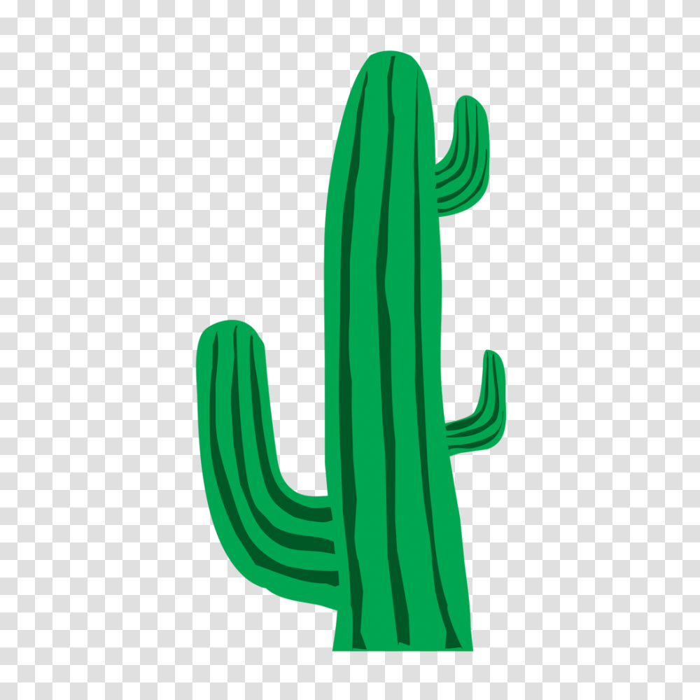 Cactus Clipart Clipart Crossword, Plant Transparent Png