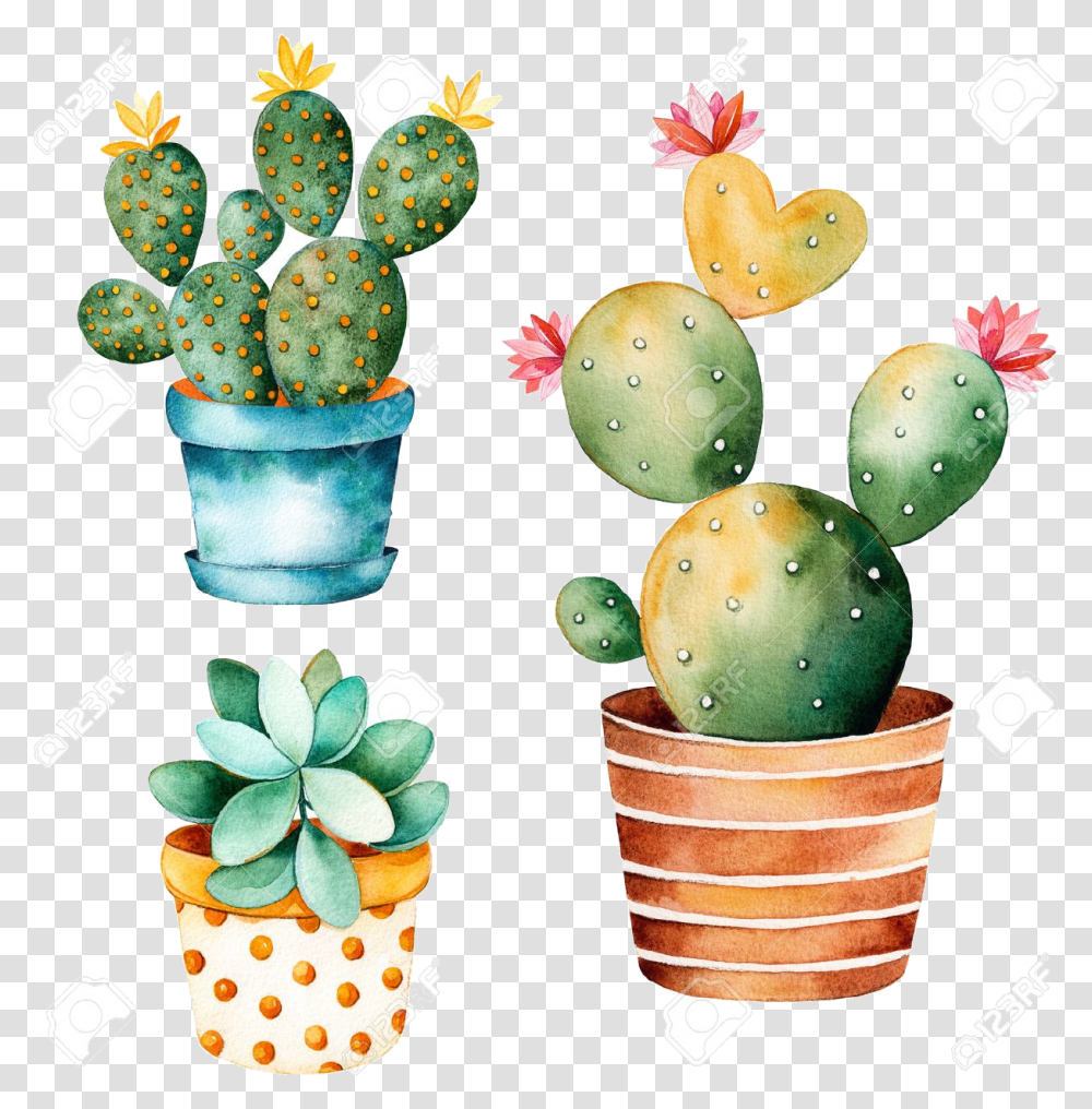 Cactus Clipart Free Watercolor Handpainted Plant And Cute Cactus And Succulents, Fruit, Food, Mango Transparent Png