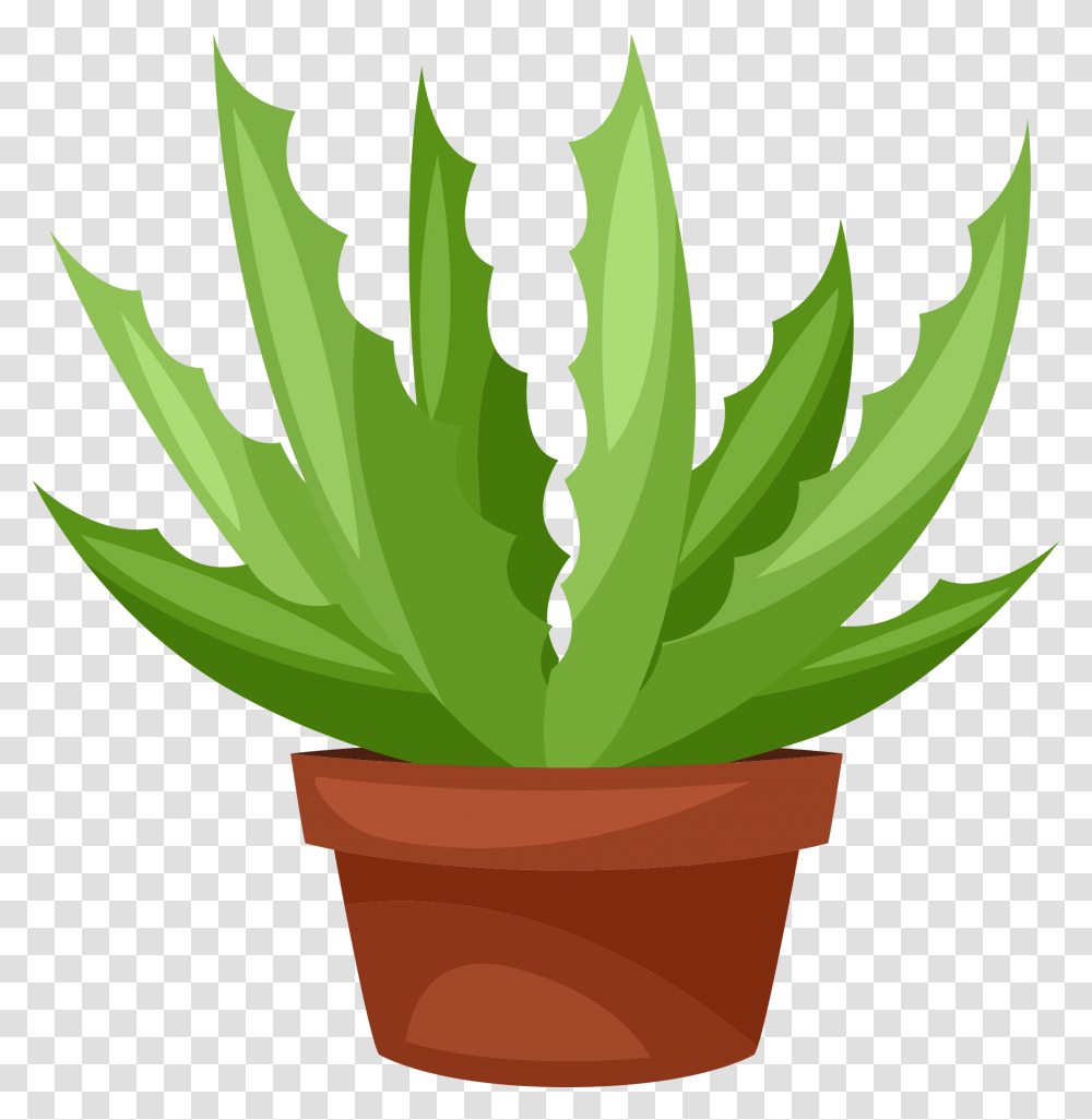 Cactus Clipart, Leaf, Plant, Aloe, Weed Transparent Png