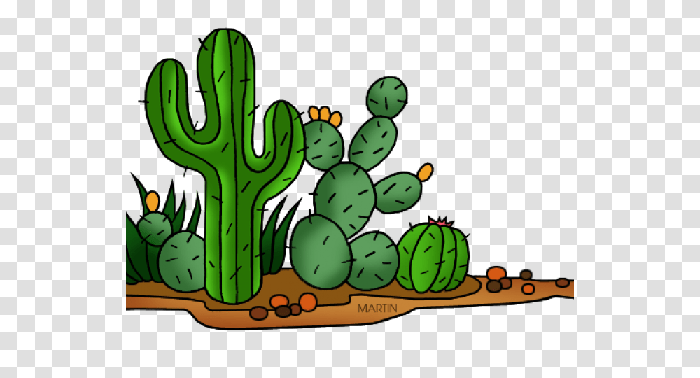Cactus Clipart Man, Plant, Fruit, Food Transparent Png