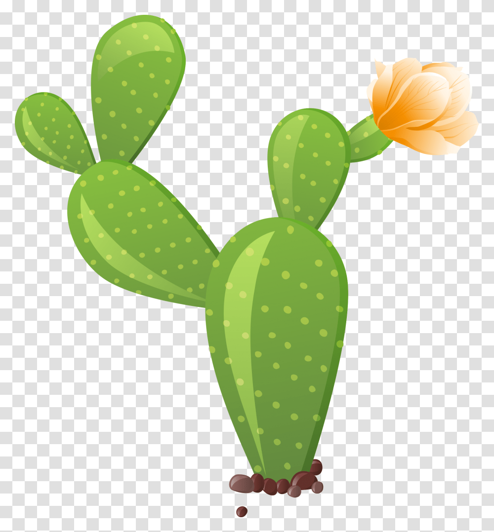 Cactus Clipart, Plant, Animal, Green Transparent Png