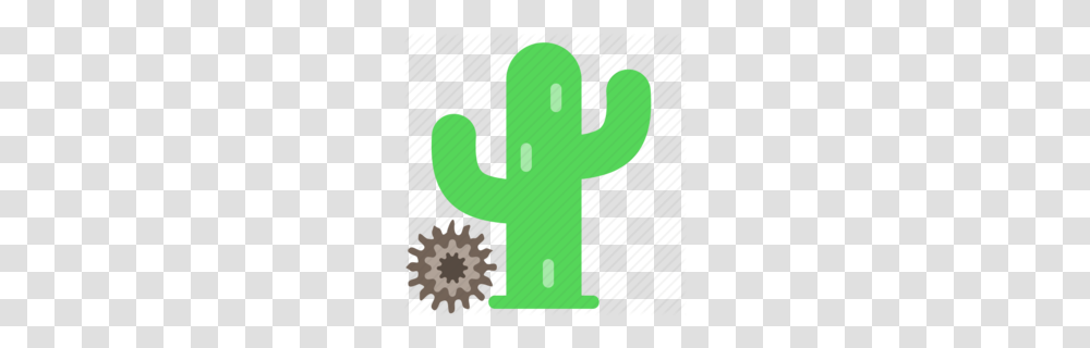 Cactus Clipart, Plant Transparent Png