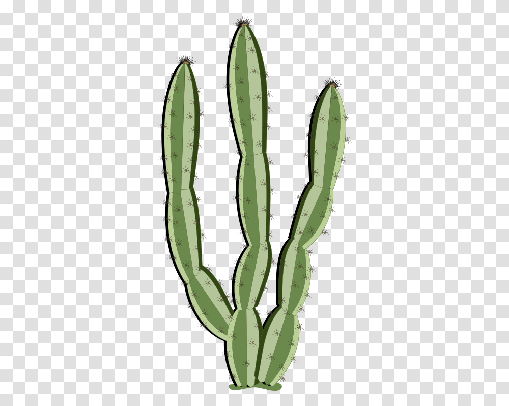 Cactus Clipart Saguaro, Plant Transparent Png
