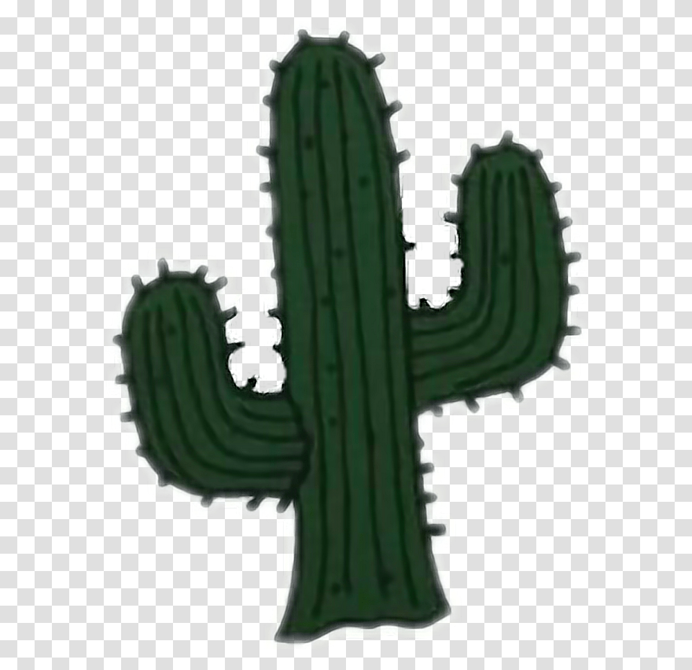 Cactus Clipart San Pedro Cacto Tumblr, Plant Transparent Png
