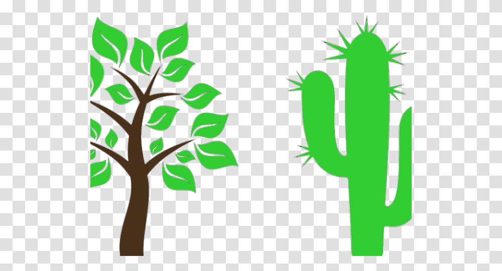 Cactus Clipart Tree, Plant, Leaf, Green, Silhouette Transparent Png