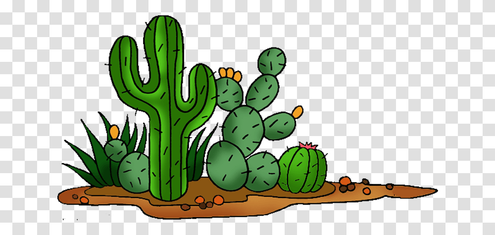Cactus Cliparts, Plant, Fruit, Food Transparent Png