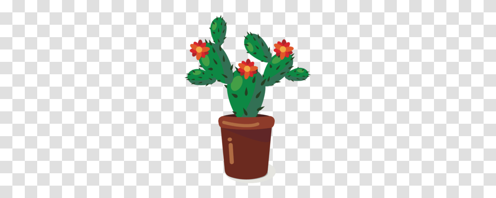 Cactus Computer Icons Prickly Pear Plants Succulent Plant Free Transparent Png