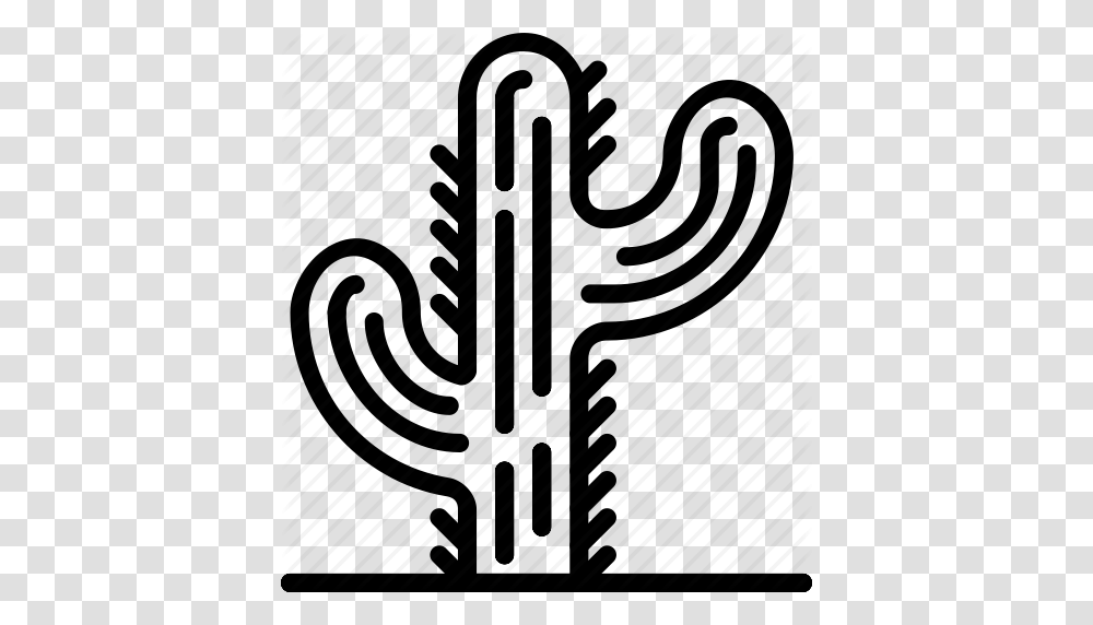 Cactus Cowboy Desert Green West Wild Icon Transparent Png