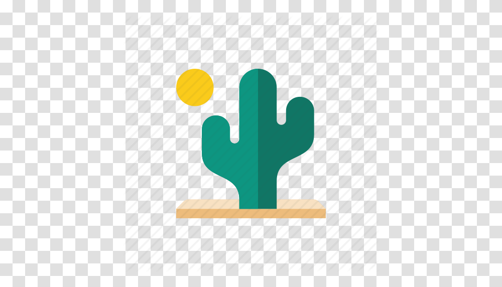 Cactus Desert Icon, Lighting, Balance Beam, Gymnastics Transparent Png