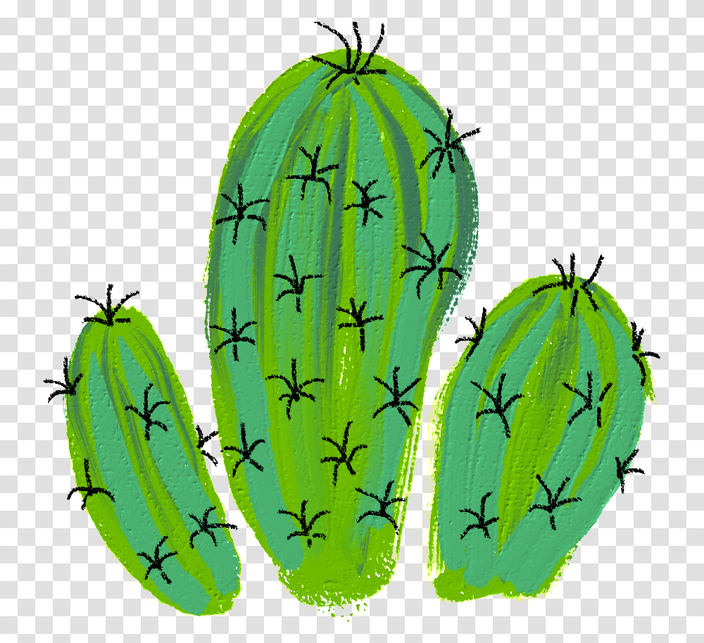 Cactus Desert Plant Green Spins Flower Decoration Banana Transparent Png