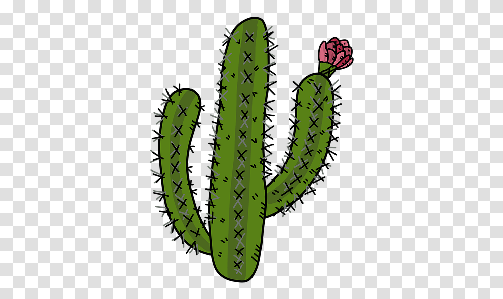 Cactus Desert Plants Cactus Rose Prickly Mexico Cactus Illustration Transparent Png