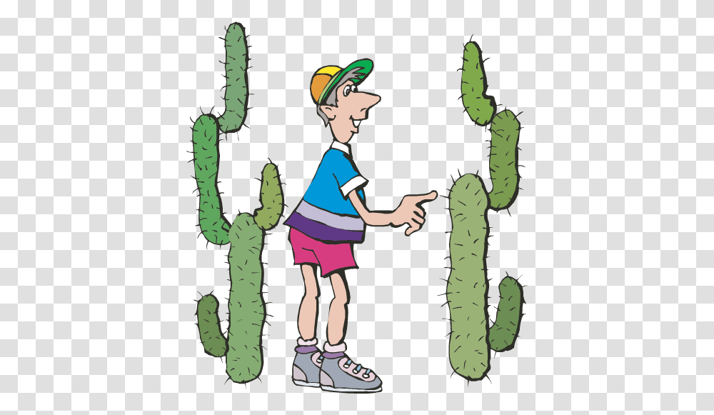 Cactus Dibujos Public Television, Plant, Person, Human, Helmet Transparent Png