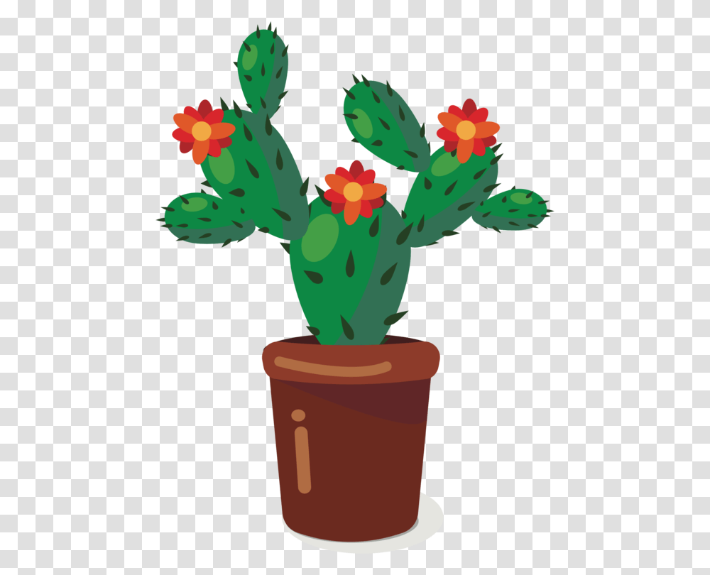 Cactus Download Plants Flower Nuvola Transparent Png